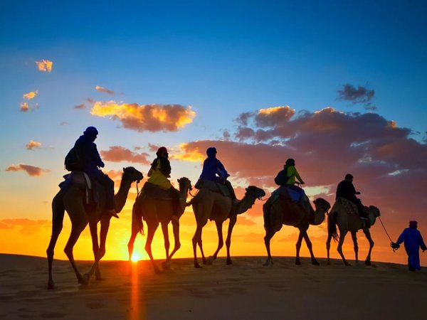 Рассвет в пустыне + сафари на квадроциклах или багги (всё включено) - фото 2