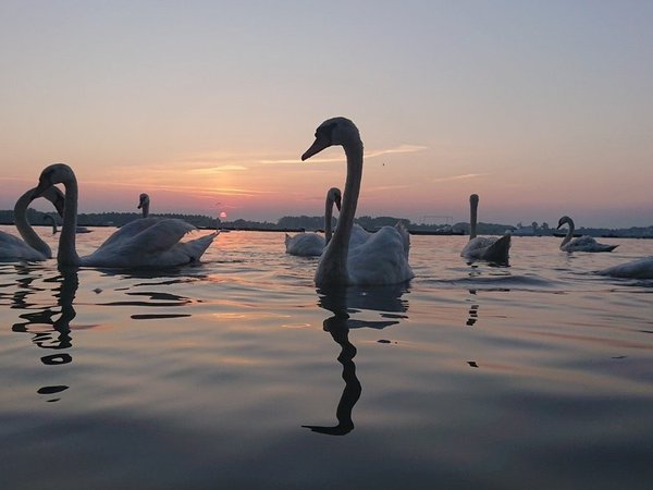 На кораблике по рекам Белграда - фото 4