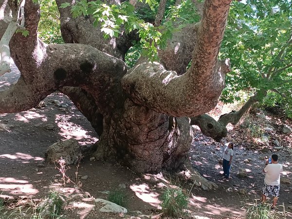 На джипе в горы — туда, где живёт настоящая Турция (из Кемера) - фото 4