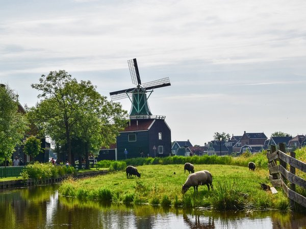 Музейное путешествие по Северной Голландии - фото 4