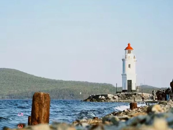 Морское приключение во Владивостоке: мыс Тобизина, котики и морепродукты! - фото 4