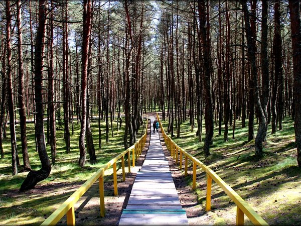 Балтийская сказка: Куршская коса, Зеленоградск и рыцарские замки - фото 3