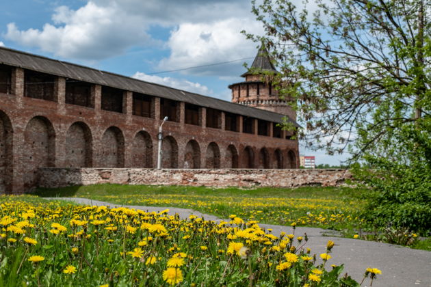 Фото экскурсии - Прогулка по Кремлю и Посаду в мини-группе - 6