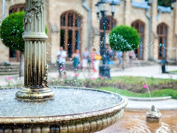 Час из жизни «водяного общества» в Кисловодске - фото 1