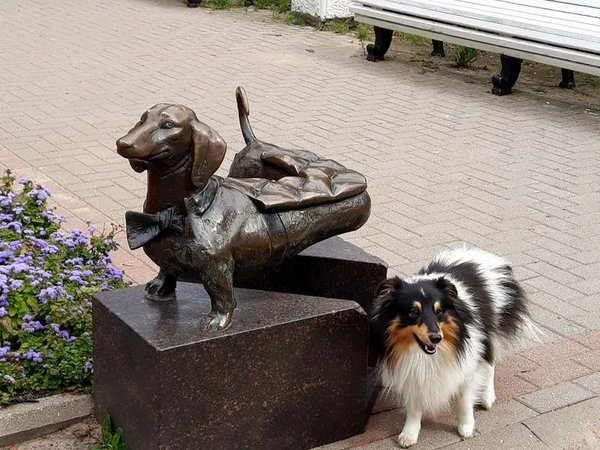 Финские истории Зеленогорска - фото 4