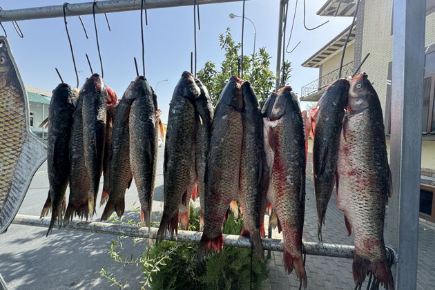 Фото экскурсии - Винно-гастрономическое путешествие по Самарканду с экскурсионной программой - 10