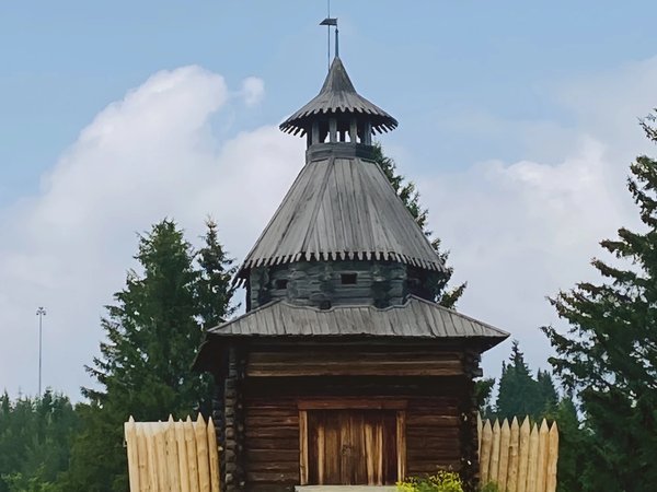 Деревянное наследие Прикамья: из Перми — в музей «Хохловка» - фото 4