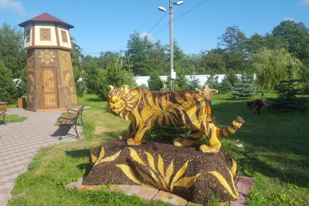 Фото экскурсии - Три жемчужины Самбийской ривьеры: Зеленоградск, Светлогорск и Янтарный - 7