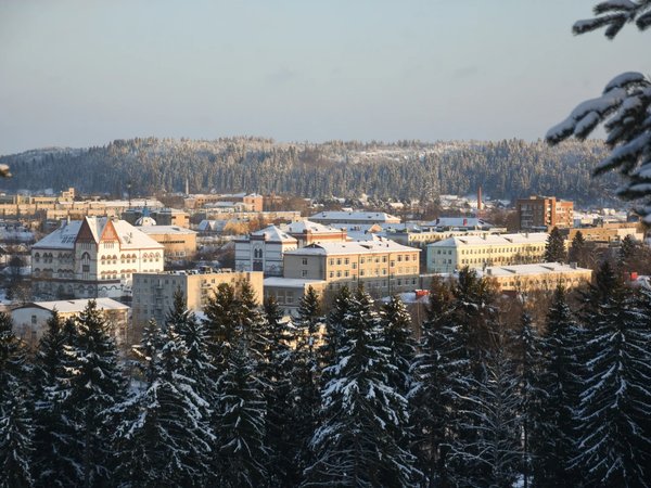 В краю, где пели руны: экскурсия с фольклористом и музыкологом - фото 2