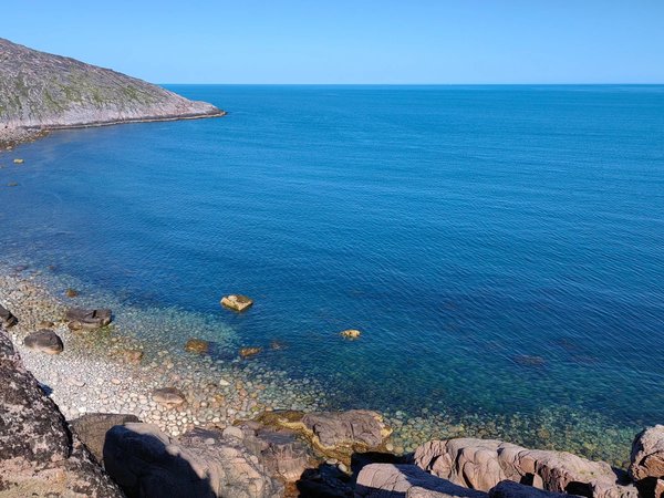 Морская одиссея в Териберке: на поиски китов - фото 4