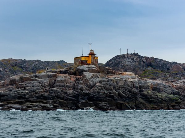 Морская одиссея в Териберке: на поиски китов - фото 3