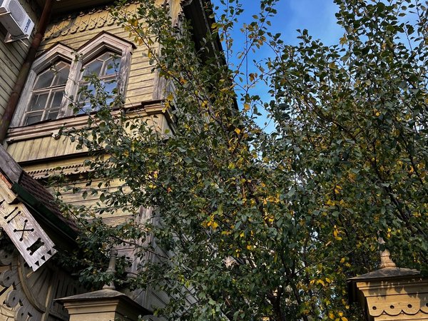 Кострома в кадре: фотопрогулка - фото 2
