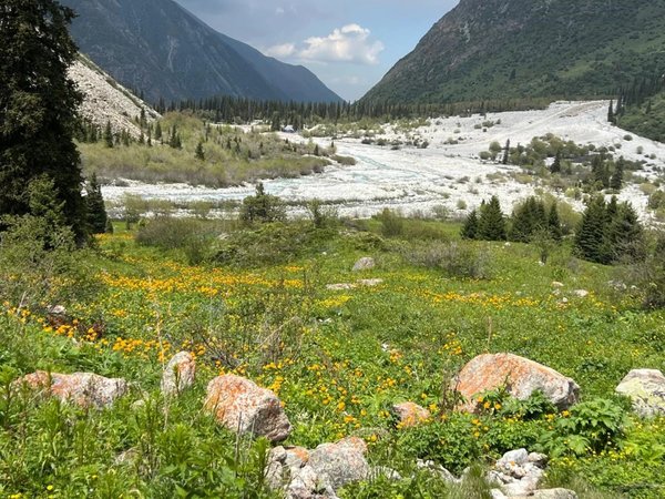Из Бишкека к горячим источникам в Аламединском ущелье - фото 3