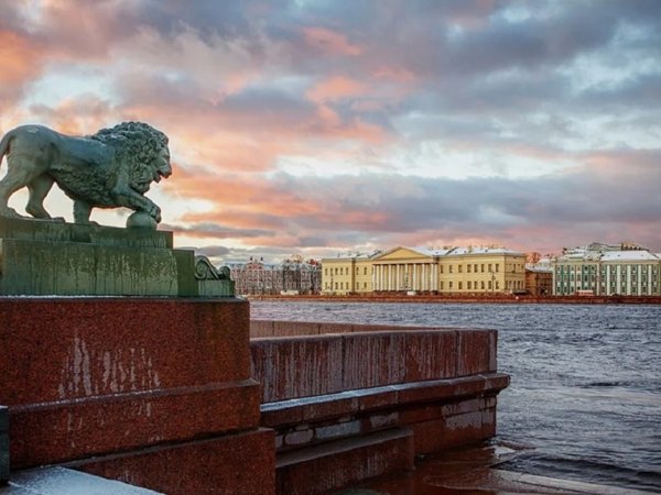 Петербург без скучных лекций: экскурсия для взрослых и детей (5+) - фото 4