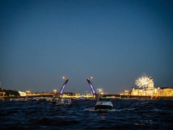 Дворцовый, Троицкий и Литейный: прогулка от Петроградской - фото 4