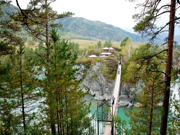 Горный Алтай: всё самое интересное за 1 день - фото 2