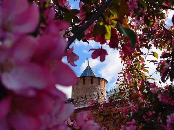 Тайны Нижегородского кремля - фото 3