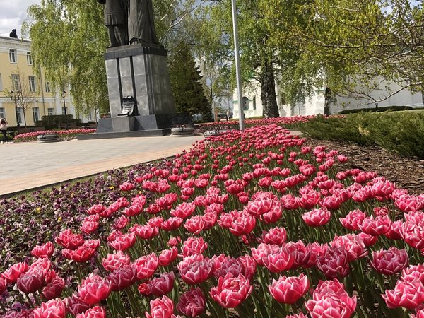 Тайны Нижегородского кремля - фото 4