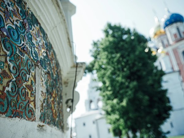 Рязань в красках - фото 2