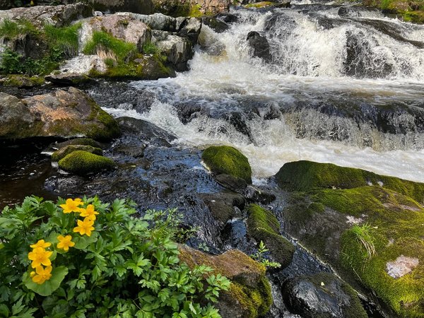 Кольский фьорд и великолепие водопадов - фото 2