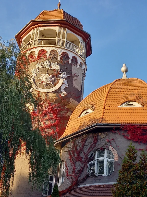 Светлогорск — маленькая Швейцария