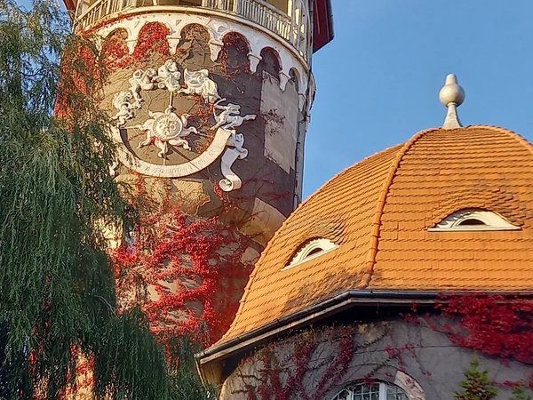 Светлогорск — маленькая Швейцария