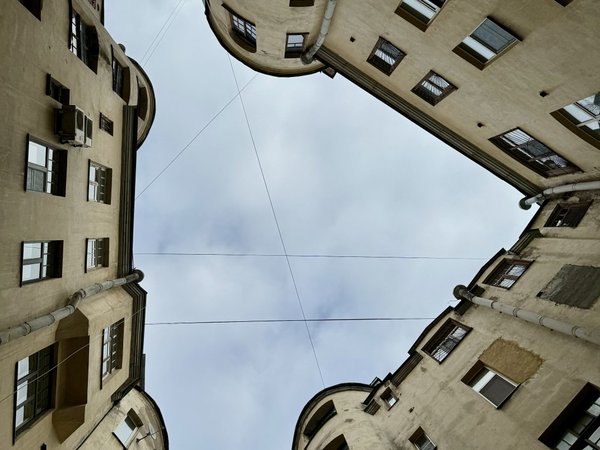 Петроградка: живая и уютная - фото 3