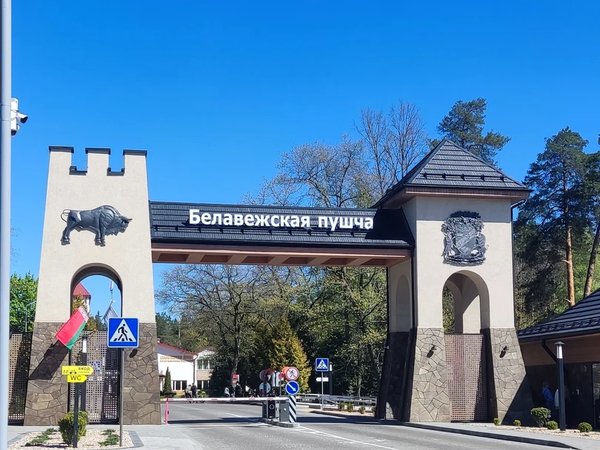 Брест — Беловежская пуща: трансфер туда и обратно - фото 1