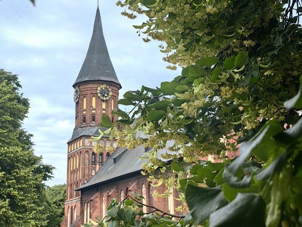 Калининград — русский город с прусской историей - фото 1