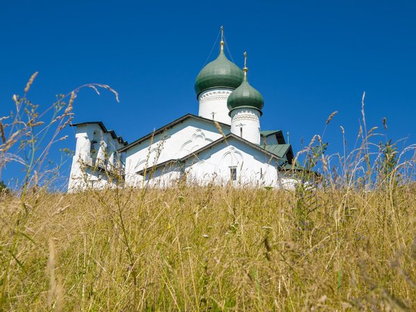 Неизведанное Запсковье с архитектором - фото 2