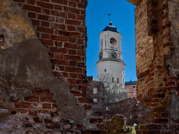 В Выборг — по Королевской дороге из Санкт-Петербурга - фото 4