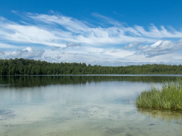 Групповая экскурсия к замку Шереметева и озеру Светлояр - фото 4