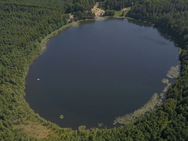 Групповая экскурсия к замку Шереметева и озеру Светлояр - фото 3