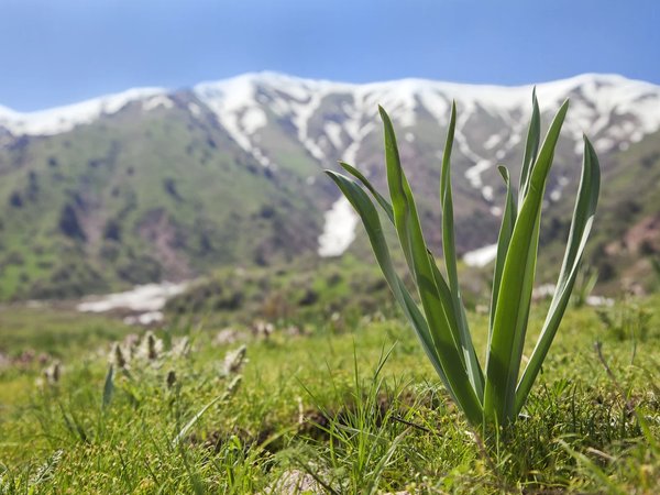 Чимганские горы и Чарвакское водохранилище за 1 день на электромобиле - фото 3