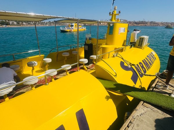 Подводный мир Красного моря лодке с прозрачным дном + трансфер - фото 3