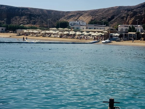 Подводный мир Красного моря лодке с прозрачным дном + трансфер - фото 4