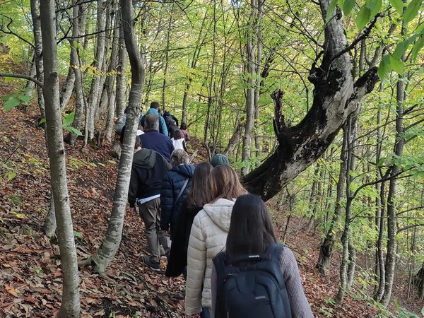 Монастырь Агарцин и лесная прогулка к скрытому водопаду - фото 4