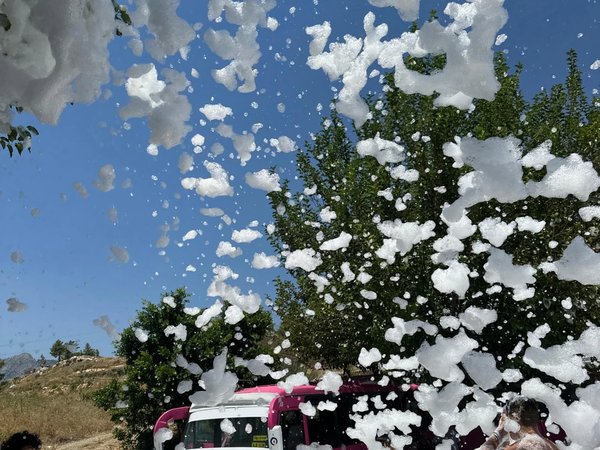 Кабрио-сафари на зелёном озере - фото 3