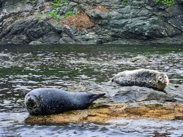 Заповедное Приморье: полуостров Гамова + Кравцовские водопады - фото 4