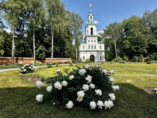 Из Тулы — в Богородицкий дворец-музей и на экоферму с заездом в Кондуки - фото 2