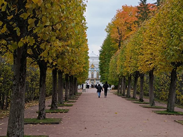 В Пушкин — по дворцам! - фото 4