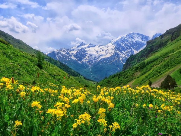 Лёгкий треккинг в Приэльбрусье с проживанием в гостинице, фото 5