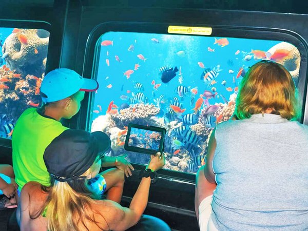 Морской круиз на лодке с прозрачным дном из Шарм-эль-Шейха - фото 4