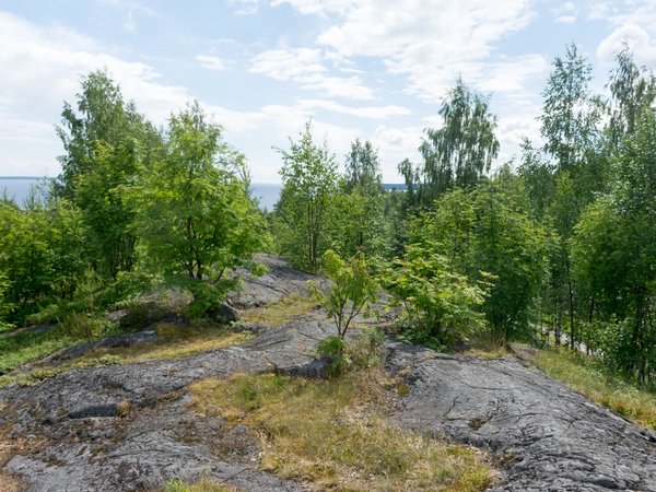 Из Петрозаводска — к Кивачу и в Медвежьегорск - фото 2