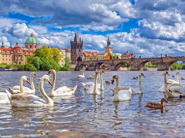 Все лучшее в Праге за 4 часа - фото 1
