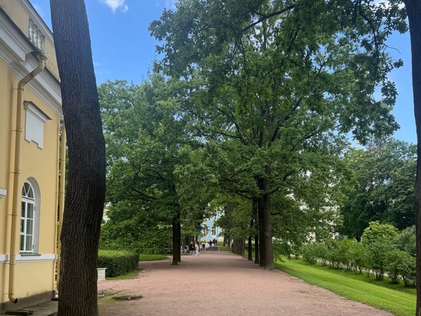 Прогулка по паркам Царского Села: Екатерининский и Александровский - фото 4