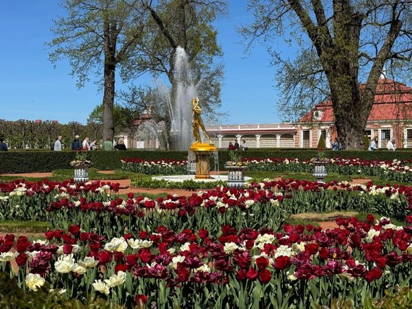 Парк и фонтаны Петергофа (всё включено) - фото 2