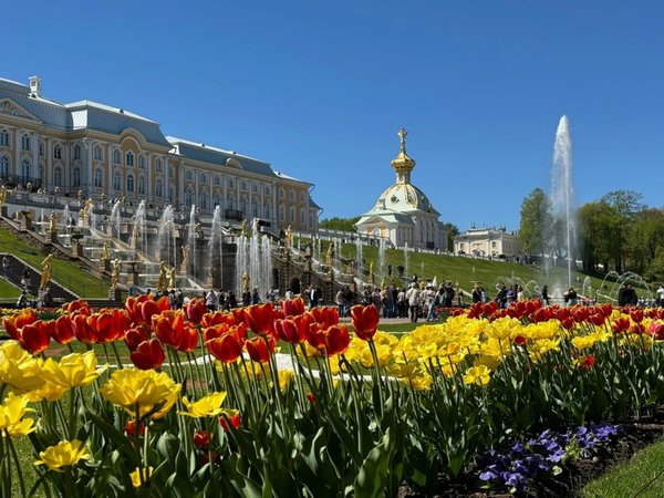 Парк и фонтаны Петергофа (всё включено) - фото 1