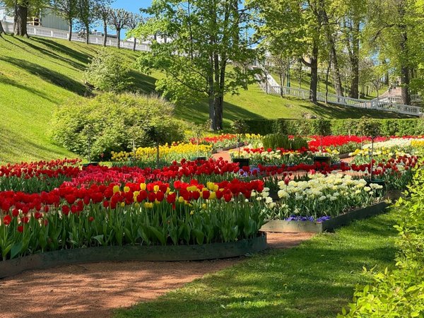 Парк и фонтаны Петергофа (всё включено) - фото 4