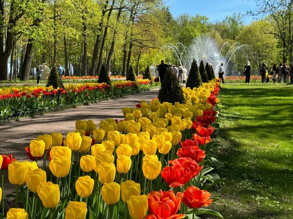 Парк и фонтаны Петергофа (всё включено) - фото 3